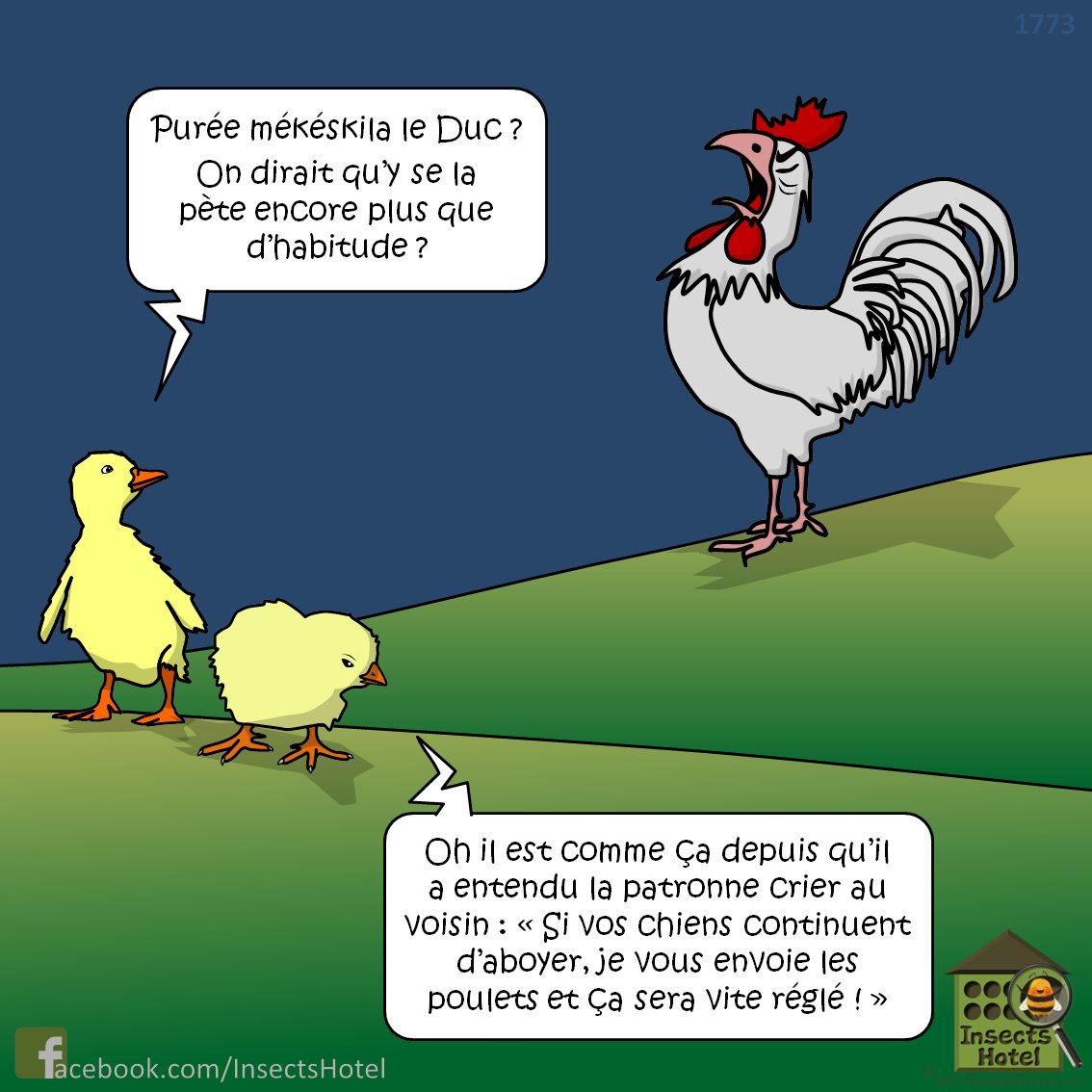 les poulets.jpg