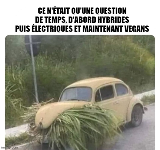 vegan.jpg