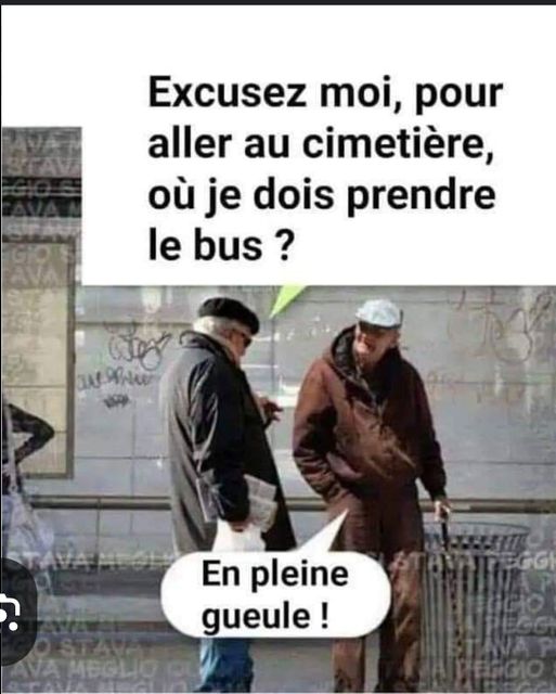 bus.jpg