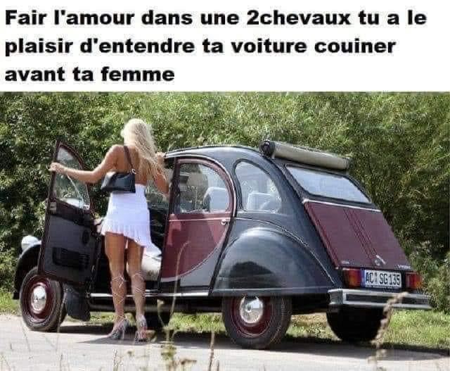 2chevaux.jpg