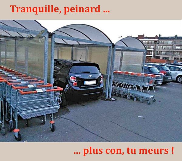 tranquile.....jpg