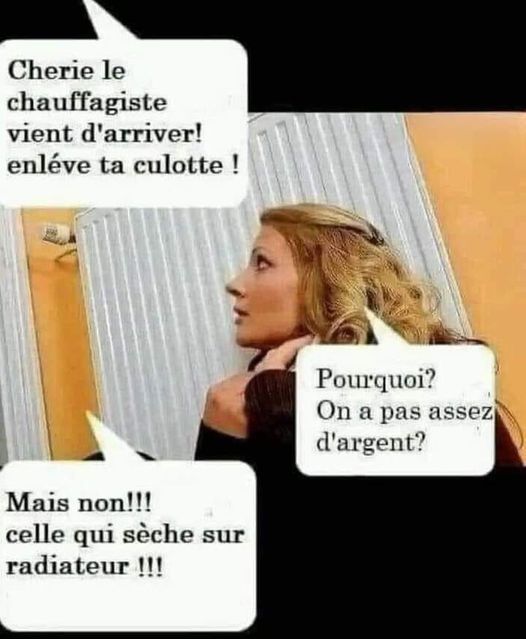culotte.jpg