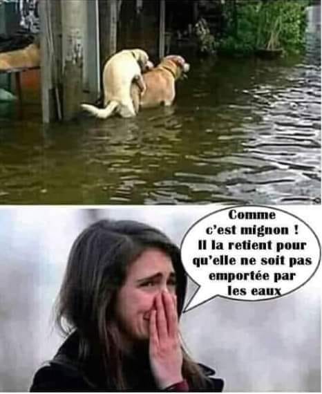 mignon.jpg