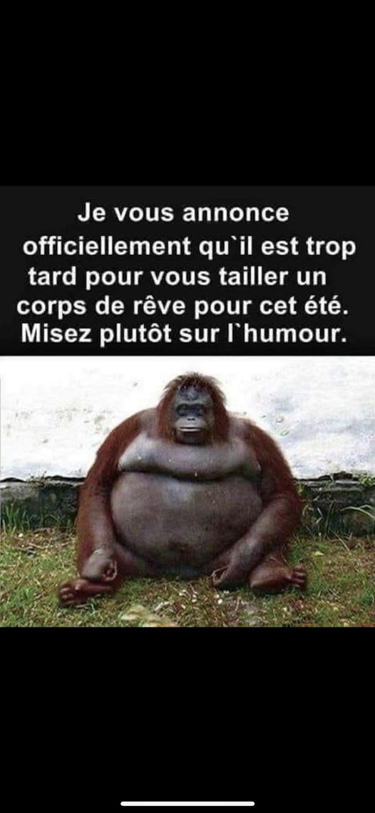 corps de reves.jpg