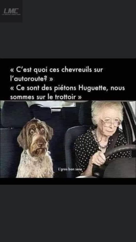 chevreuils.jpg