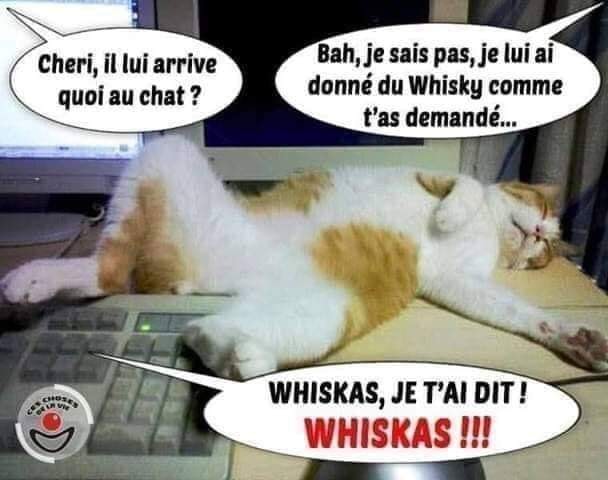 chat.jpg