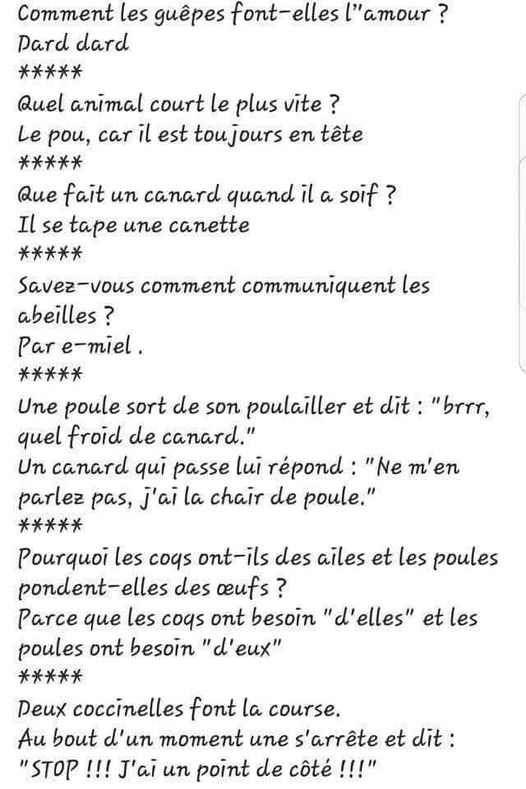 pourquoi.......jpg