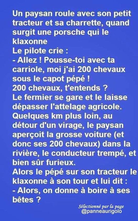 chevaux.jpg