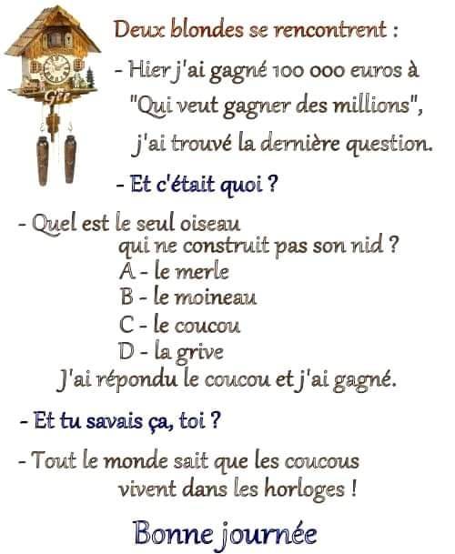coucou.jpg