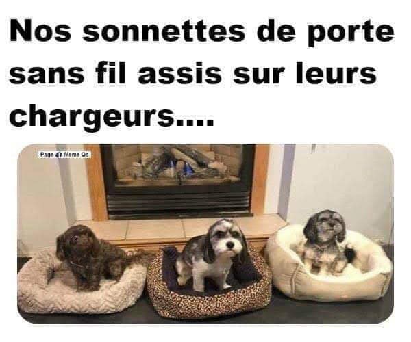 sonnette.jpg