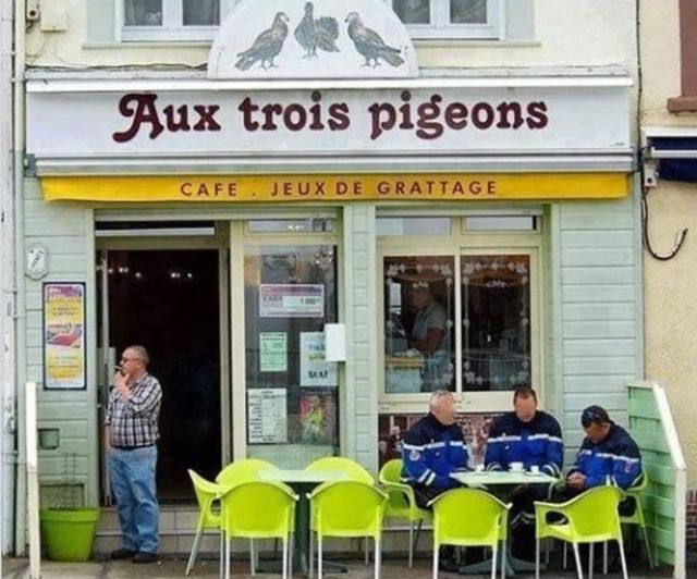 pigeon.jpg