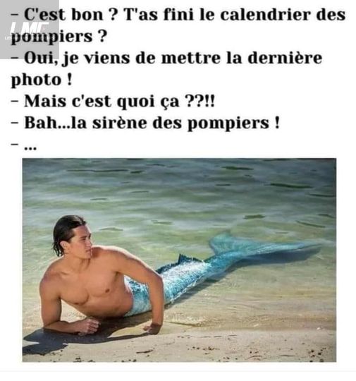 sirène.jpg