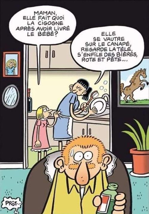 cigogne.jpg