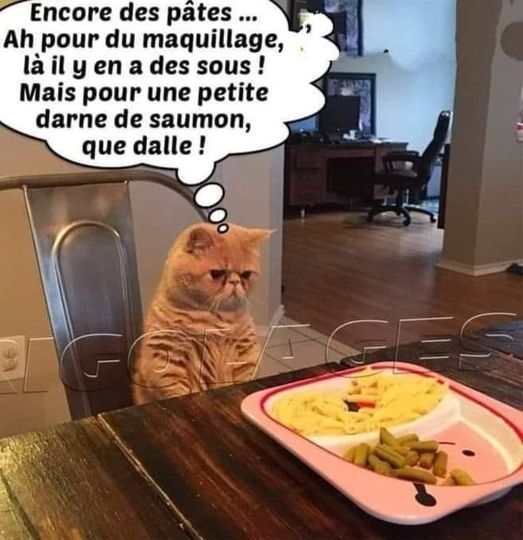 pate.jpg