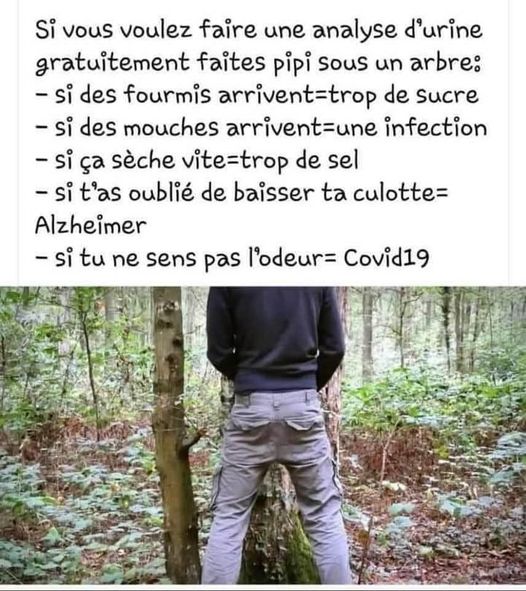 analyse.jpg