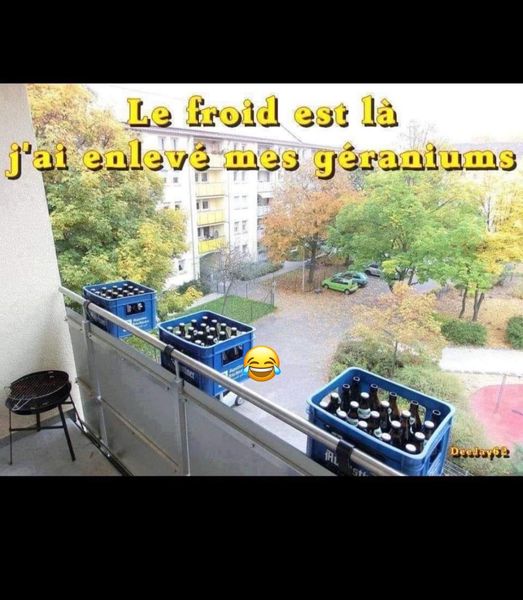 froid.jpg
