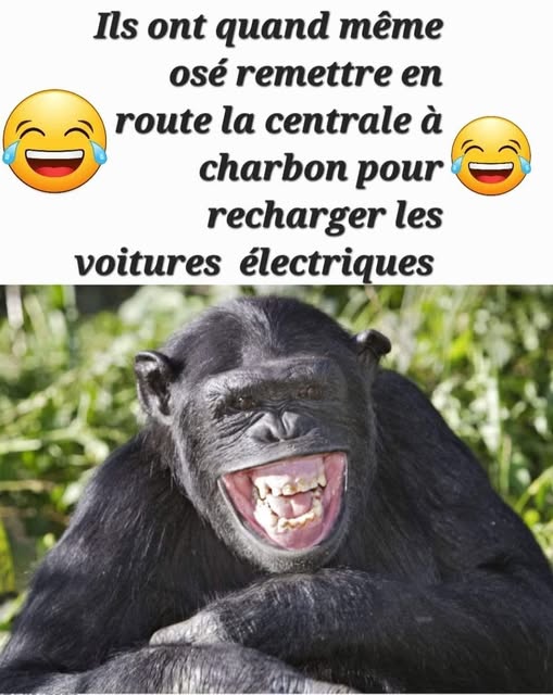 electric.jpg