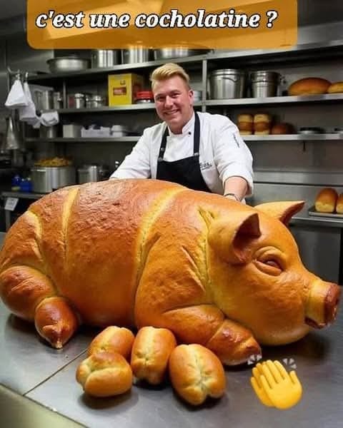 cochonlatine.jpg