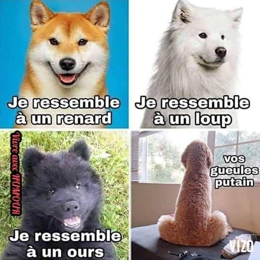 je ressemble a.....jpg