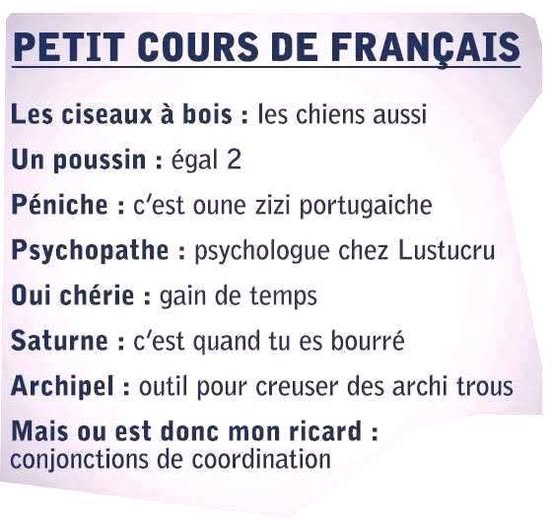 petit cours.jpg