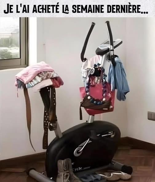 sport.jpg