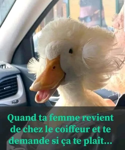 coiffeur.jpg