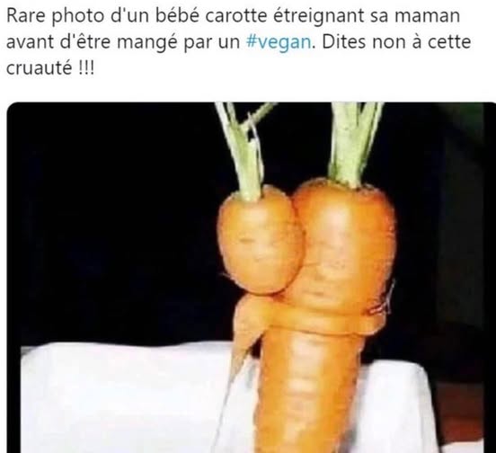 bébé.jpg