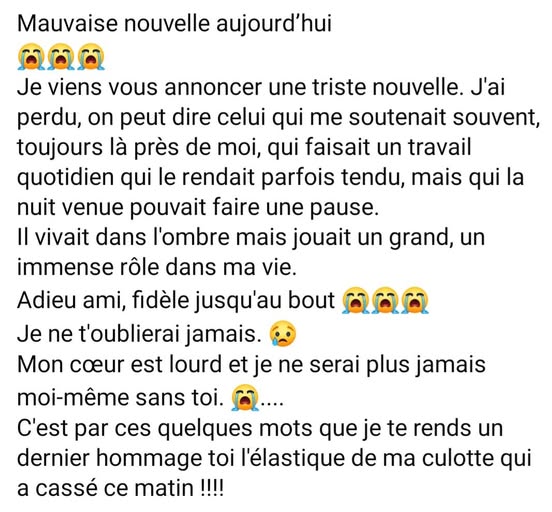 nouvelle.jpg