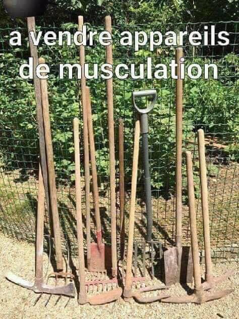 materiel musculation.jpg