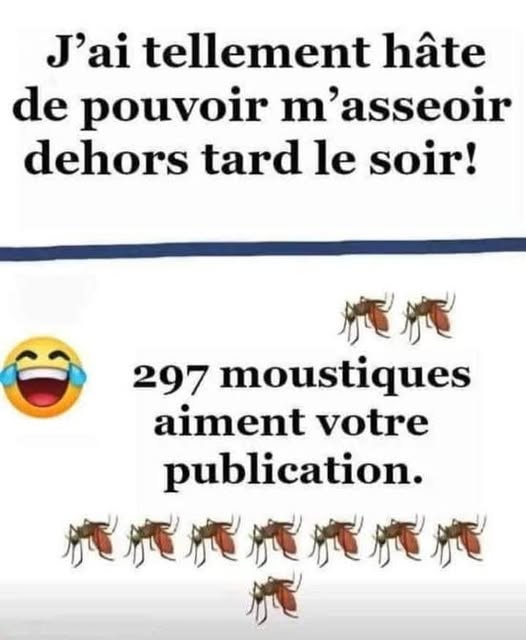 mousti.jpg