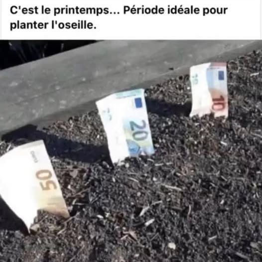 printemps.jpg