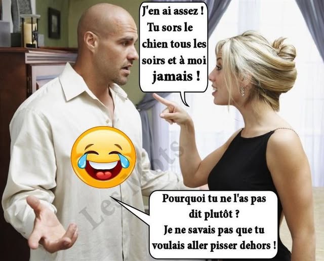 chien.jpg