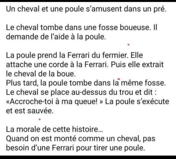 cheval poule.jpg