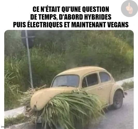 végan.jpg