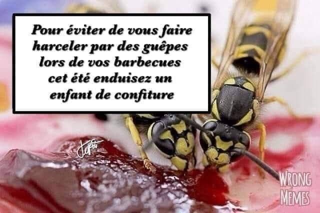 GUEPES.jpg
