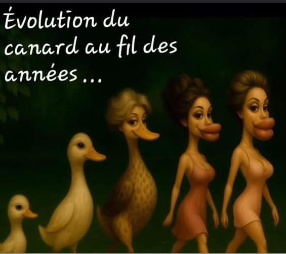 canard.jpg