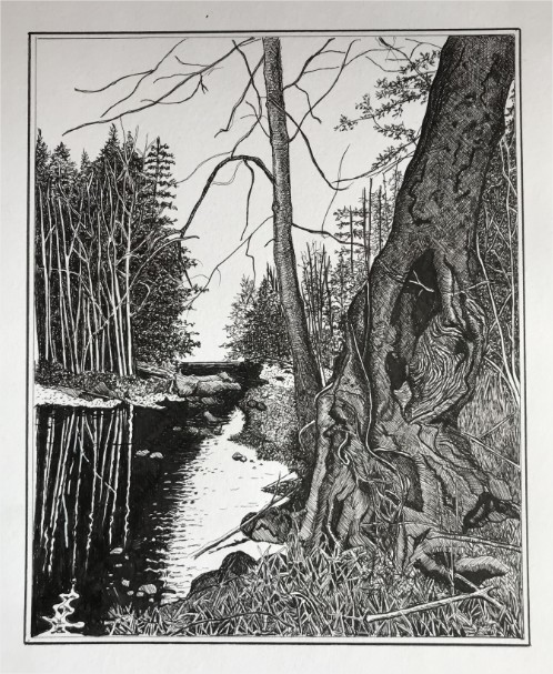 le vieux chêne.jpg