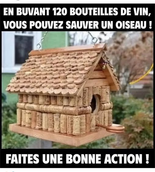 sauvez les oiseaux.jpg