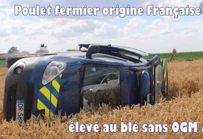 poulet fermier.jpg