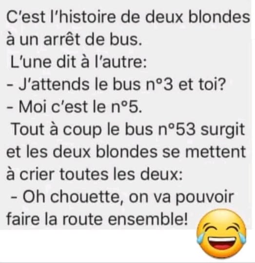 bus.jpg