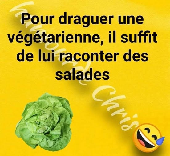 draguer.jpg