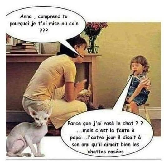 chat.jpg