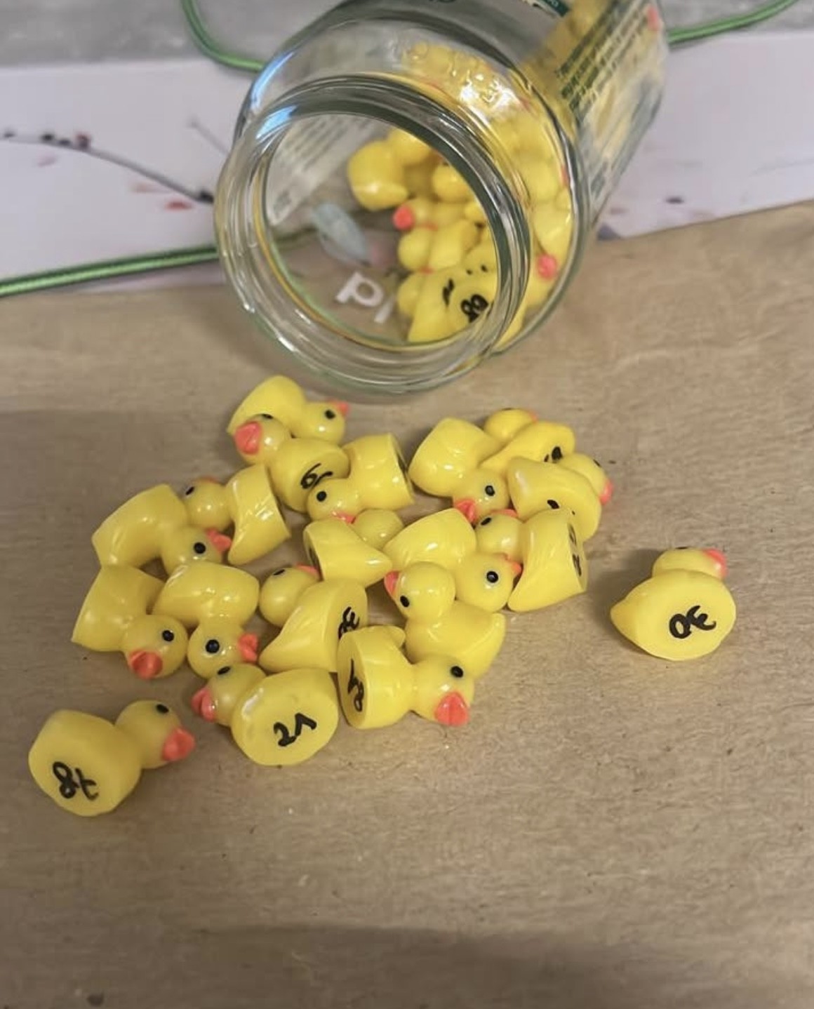 pti canard.jpg