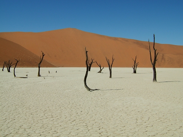 DSCF1506.JPG