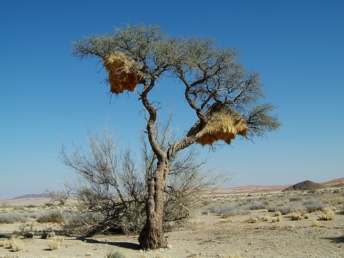 DSCF1523.JPG