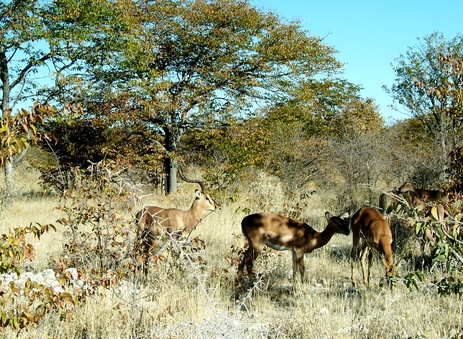 DSCF1707.JPG