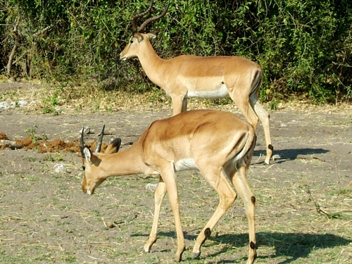 DSCF1823.JPG