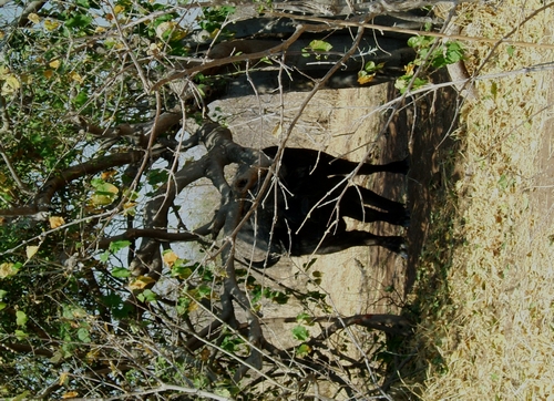 DSCF1932.JPG