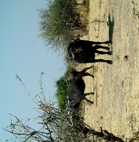 DSCF1935.JPG