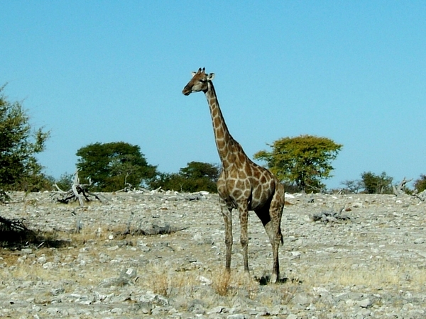 DSCF1704.JPG